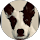 Larry C profile picture